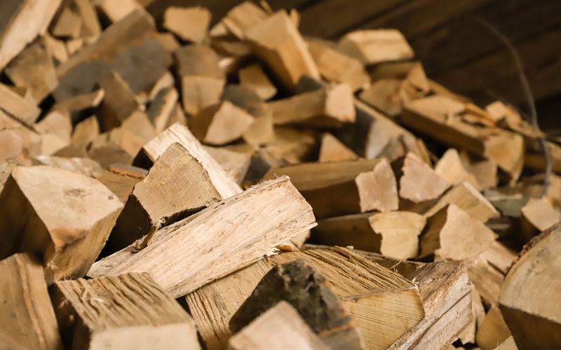 Beech Firewood (Loose) SRM Dry or Fresh